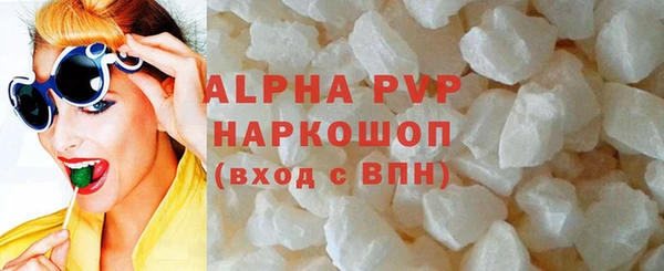 соль ск Новозыбков
