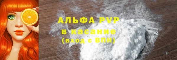 соль ск Новозыбков