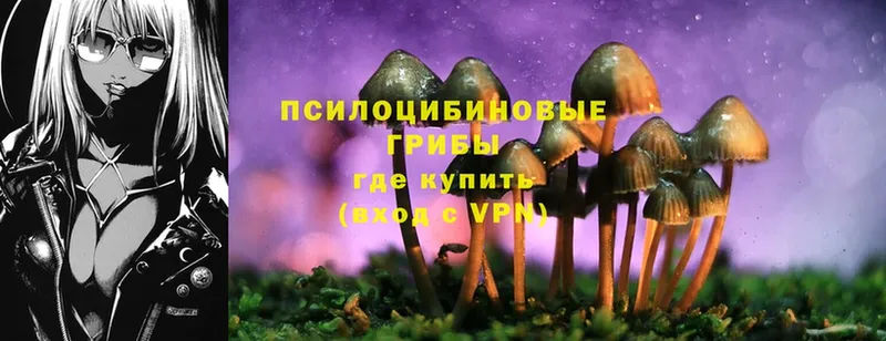 Галлюциногенные грибы MAGIC MUSHROOMS Лагань