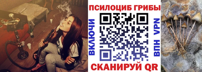 Псилоцибиновые грибы мицелий гидра зеркало Лагань