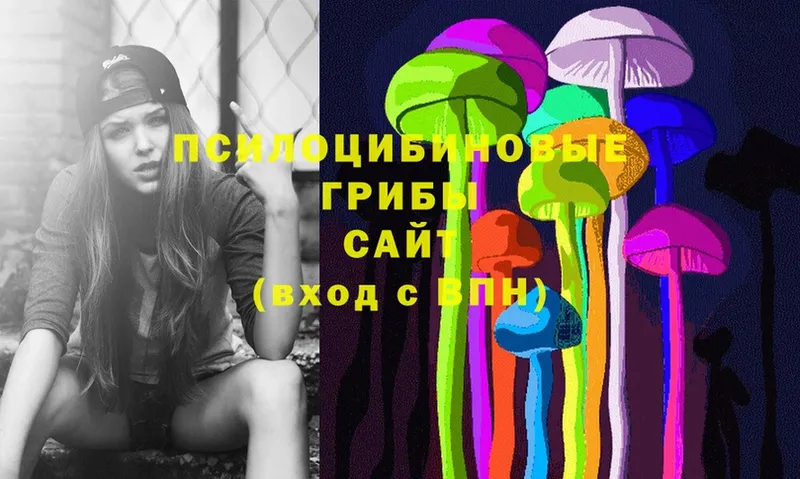 Псилоцибиновые грибы Cubensis  Лагань 